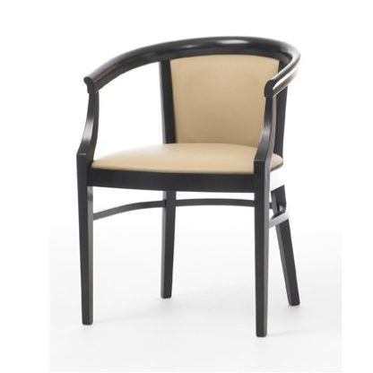 NEWTON Desk Chair | Tub Chairs | SHNEWDC